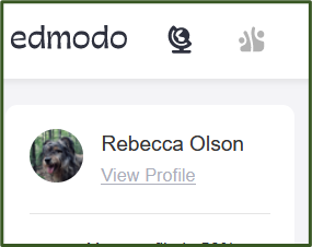 Screenshot of an Edmodo profile
